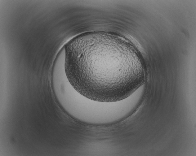 X0000116421465200912291839