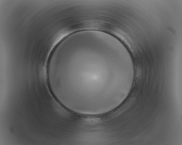 X0000116421466200912291839