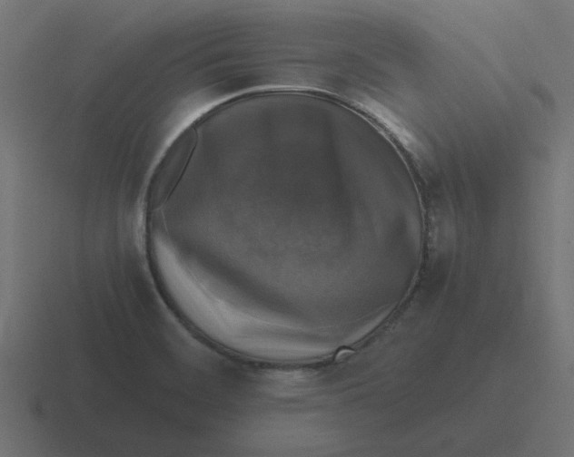 X0000116421468200912291839