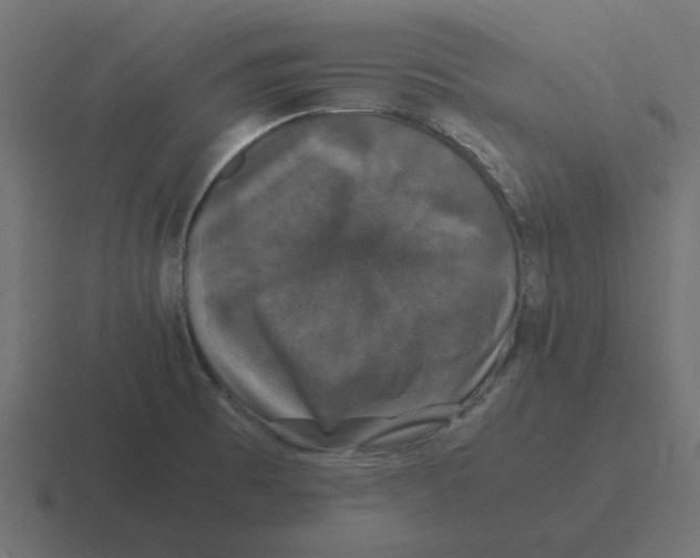 X0000116421473200912291839