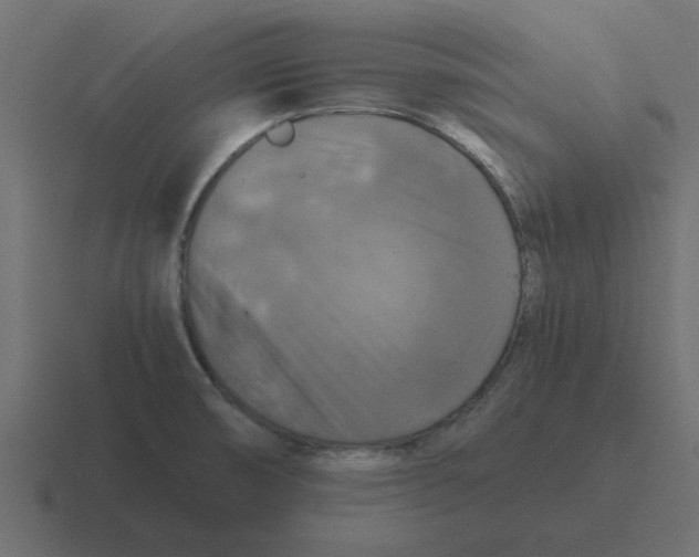 X0000116421474200912291839