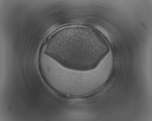 X0000116421475200912291839