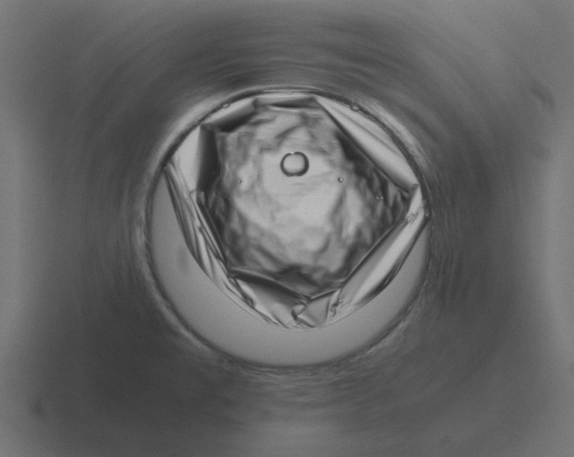 X0000116421477200912291839