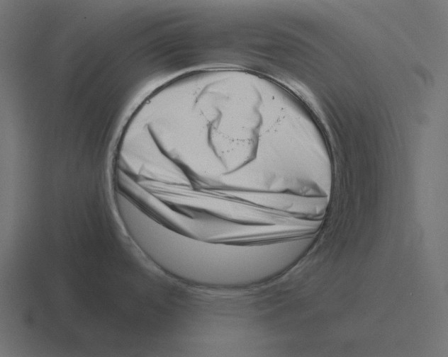 X0000116421488200912291839