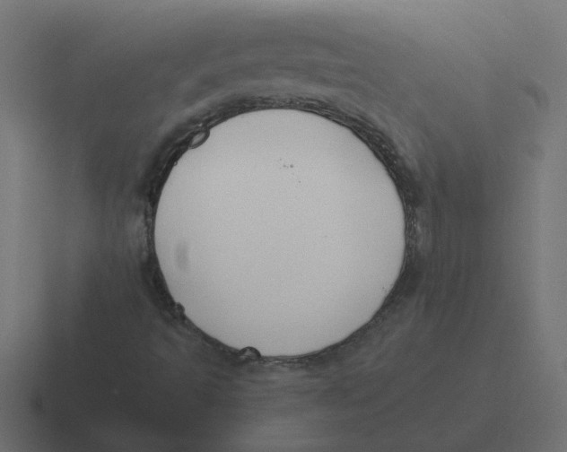 X0000116421493200912291838