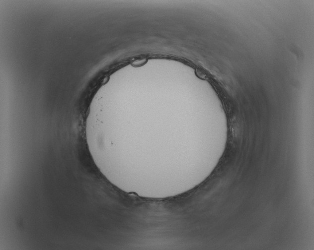 X0000116421495200912291838