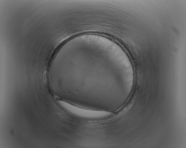 X0000116421497200912291838