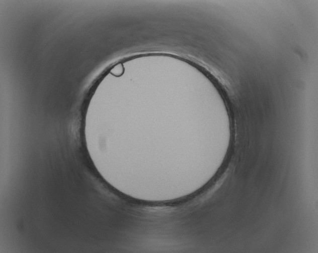 X0000116421502200912291838