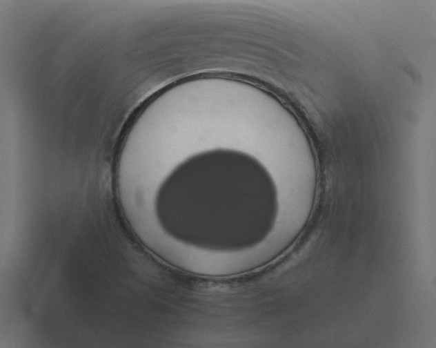 X0000116421505200912291838