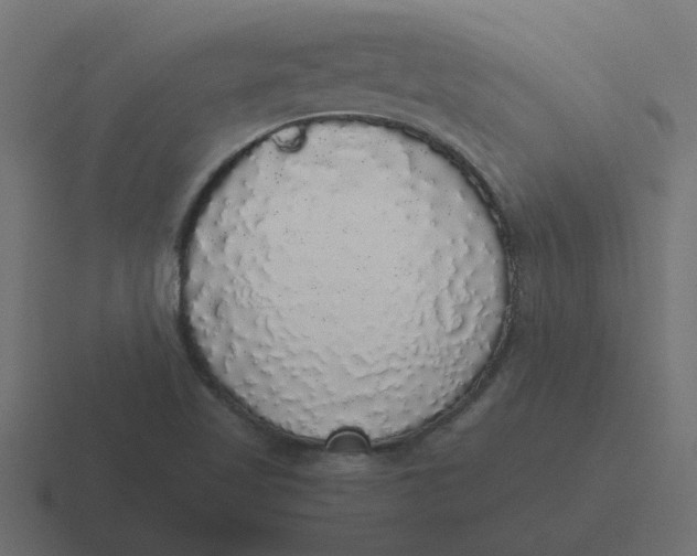 X0000116421509200912291838