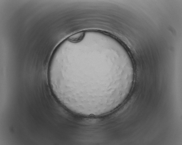 X0000116421513200912291838