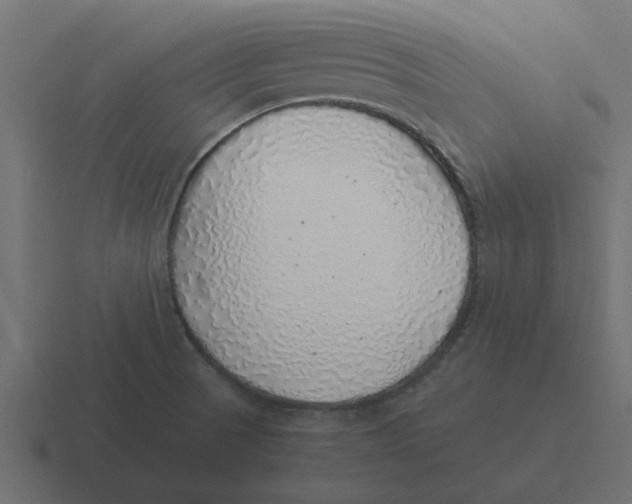 X0000116421521200912291839