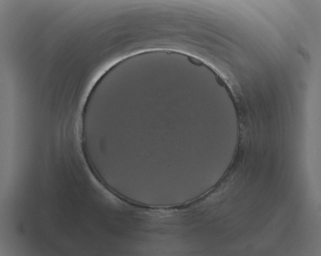 X0000116421527200912291839