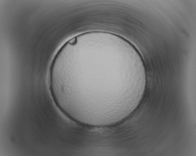 X0000116421531200912291839