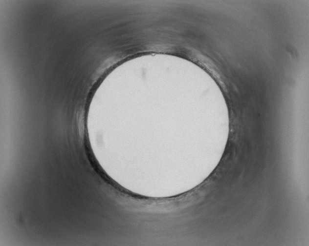 X0000116420011201001051135