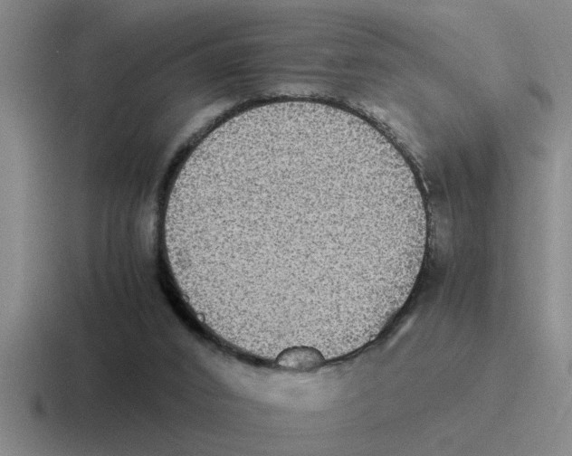 X0000116420016201001051135