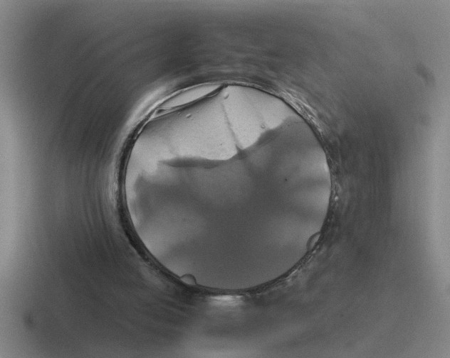 X0000116420053201001051134