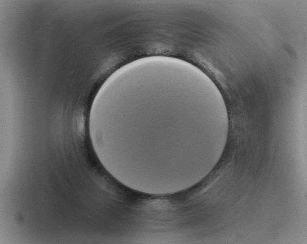 X0000116420067201001051134