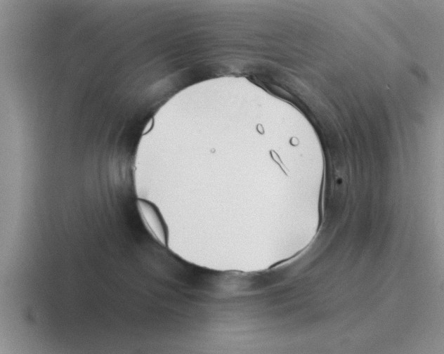 X0000116420094201001051134