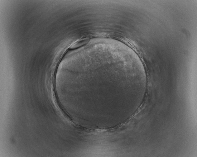 X0000116420097201001051134