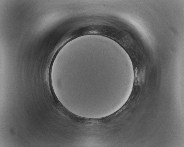 X0000116420099201001051134