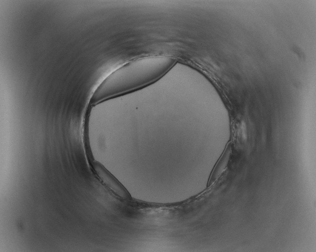 X0000116420100201001051134