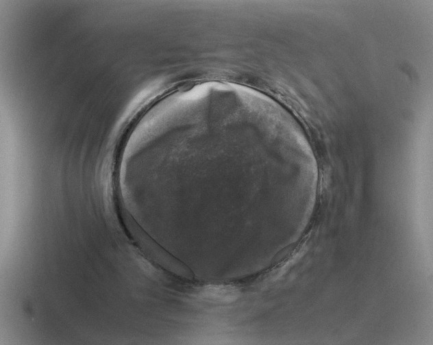 X0000116420101201001051134
