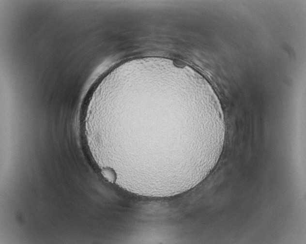 X0000116420102201001051134