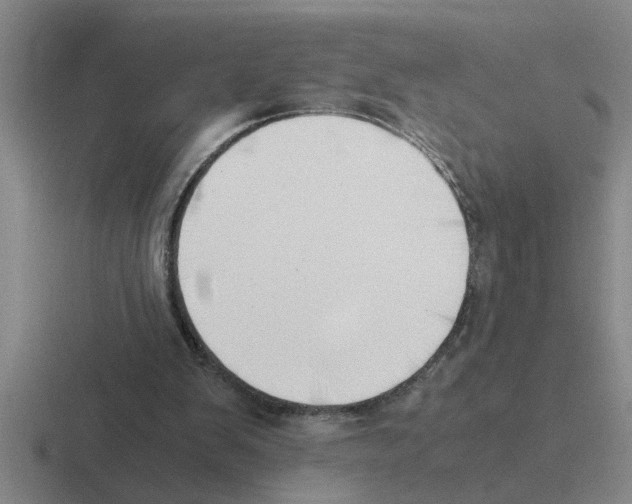 X0000116420103201001051134