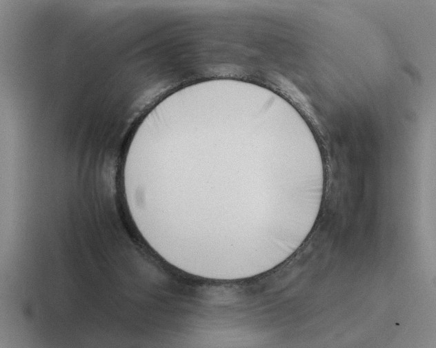X0000116420106201001051134