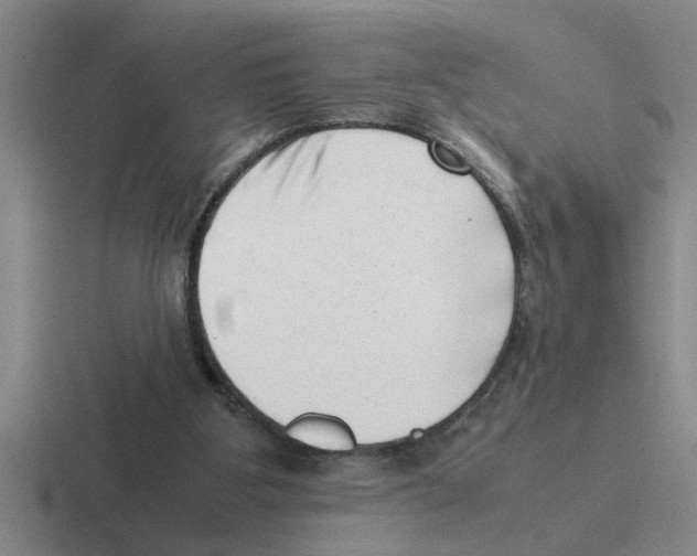 X0000116420107201001051134