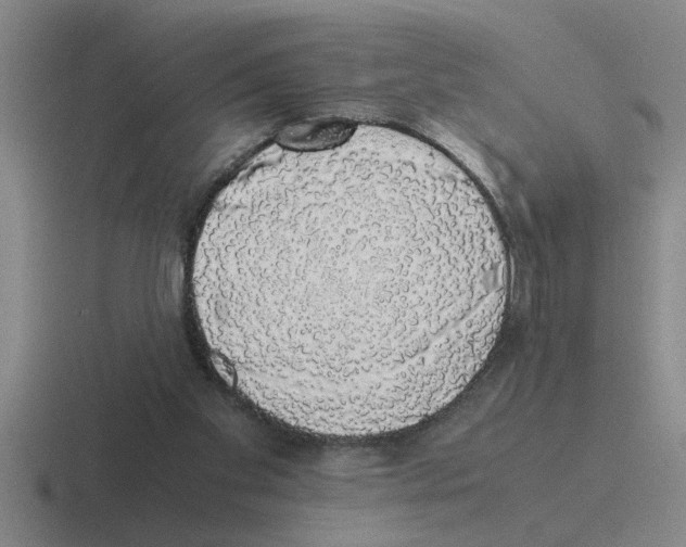 X0000116420109201001051133