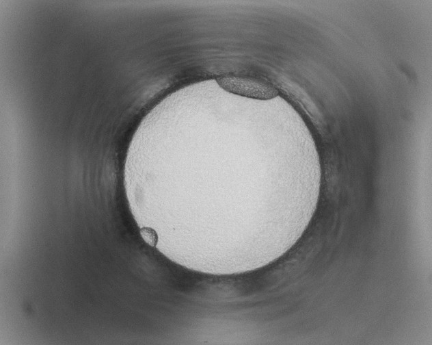 X0000116420113201001051133