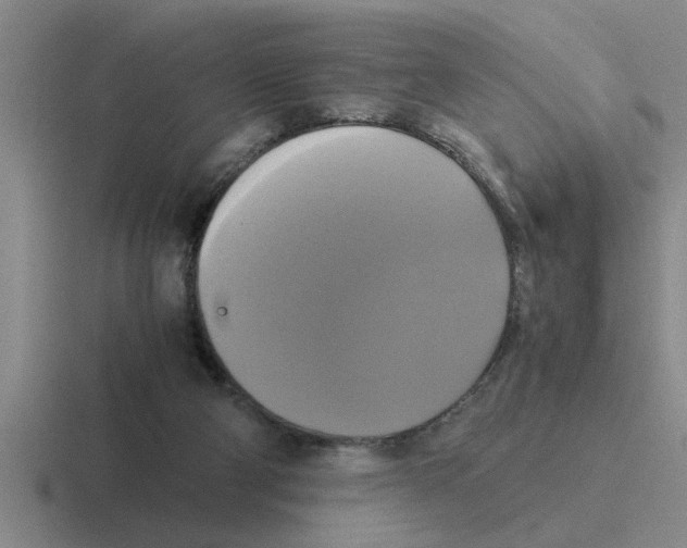 X0000116420114201001051133