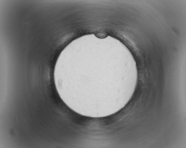 X0000116420115201001051133