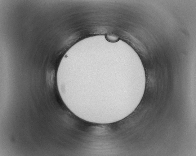 X0000116420118201001051133