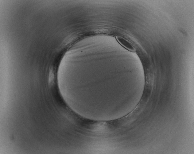 X0000116420124201001051133
