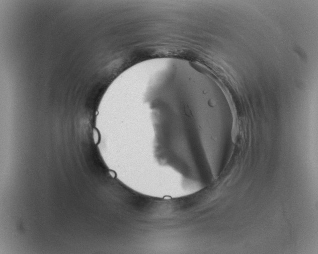 X0000116420127201001051133