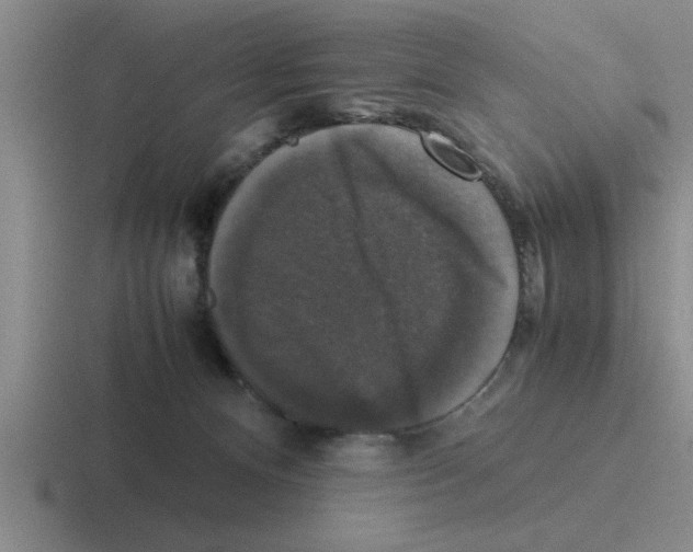 X0000116420128201001051133
