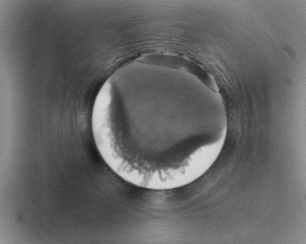 X0000116420131201001051133