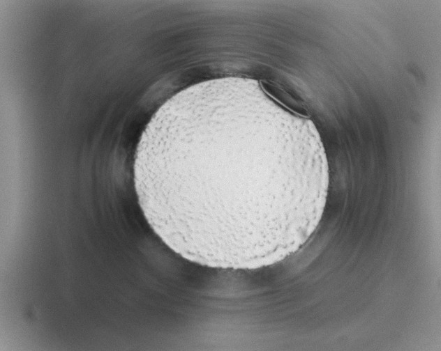X0000116420140201001051133