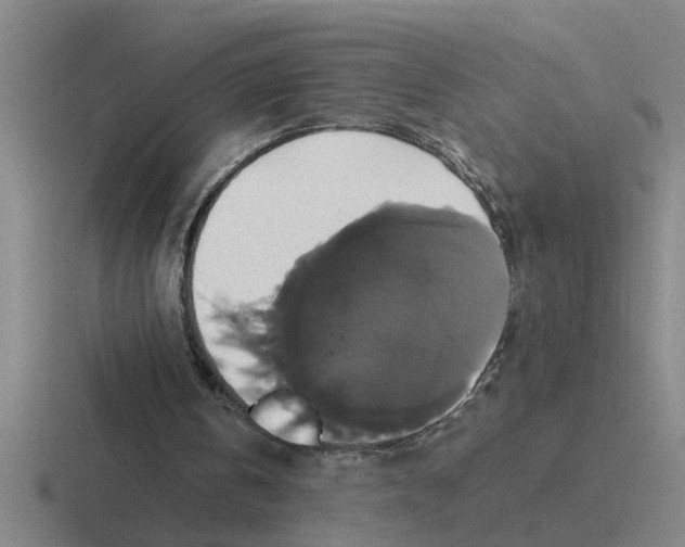 X0000116420146201001051132