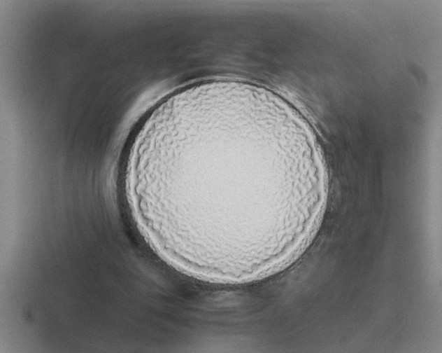 X0000116420151201001051133