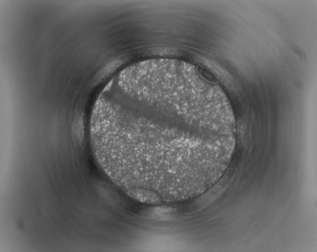 X0000116420158201001051133