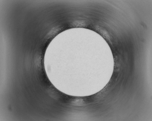 X0000116420162201001051133