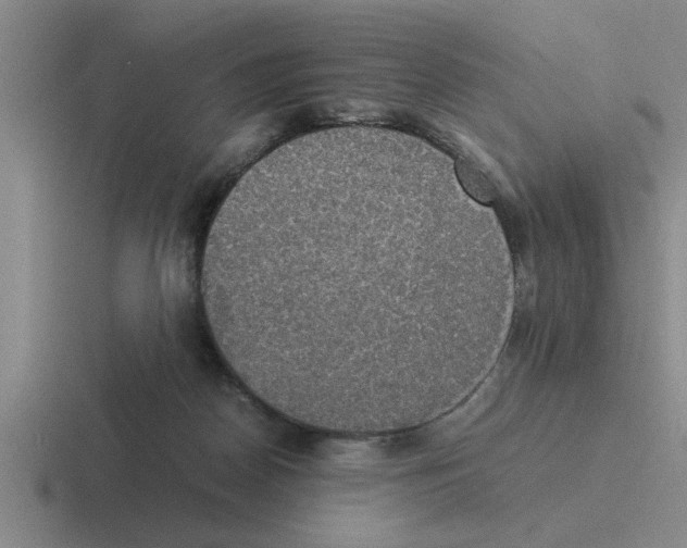 X0000116420170201001051133
