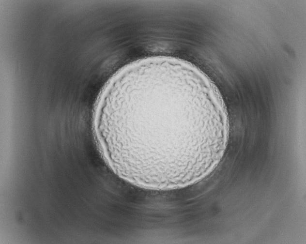 X0000116420175201001051133