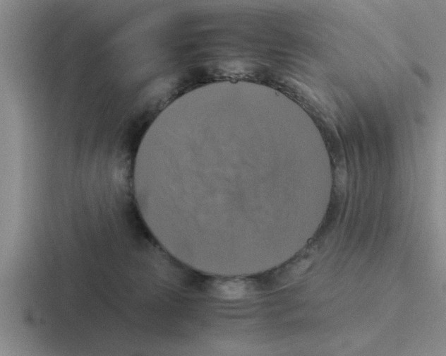X0000116420181201001051133
