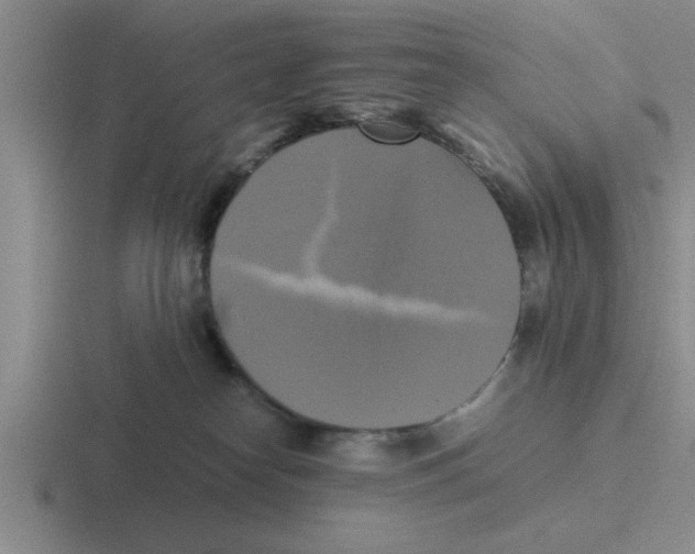 X0000116420182201001051133