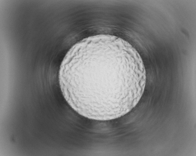 X0000116420185201001051133